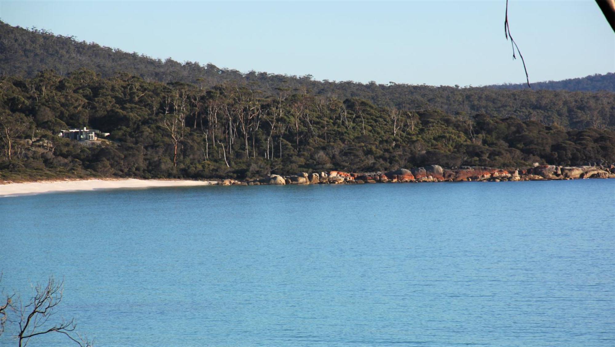 Kingfisher Cottage Beachfront At The Binalong Bay Eksteriør billede